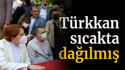 Türkkan sıcakta dağılmış